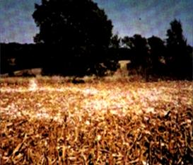 1991 Highland KS Formation